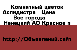 Комнатный цветок Аспидистра › Цена ­ 150 - Все города  »    . Ненецкий АО,Красное п.